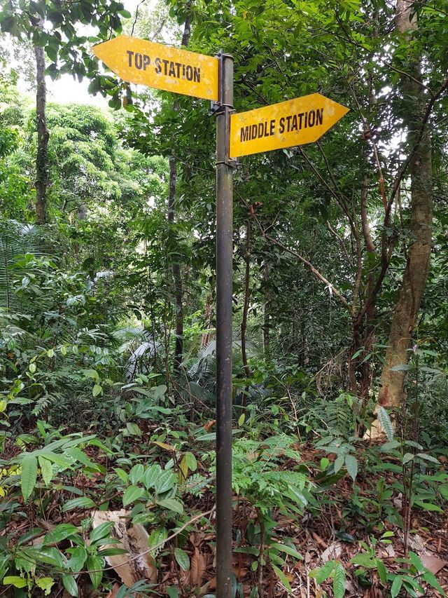 Penang Hill Hike 👣🍃