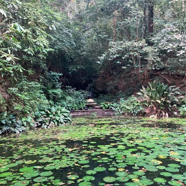 気軽に自然を感じられるパワースポット　ペナン植物園