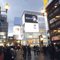 Osaka Castle and Dotonbori