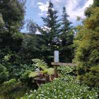 A Must See ~ Award-Winning Hamilton Gardens