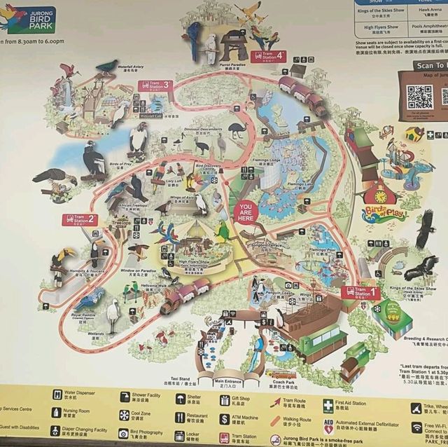 最後機會～新加坡裕廊飛禽公園