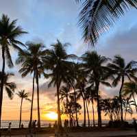 Breathtaking Views in Hawaii: Waikiki 🌴🌺