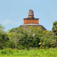 🚲 Cycling around Anuradhapura
