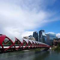 Calgary : Picturesque Western city