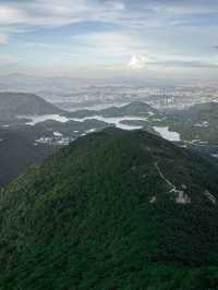 Shenzhen City Views