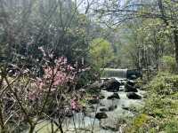 Shenlixia Scenic Area - SPRING TIME