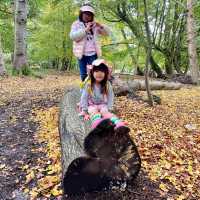 英國動森遊 - 山系小孩育成記