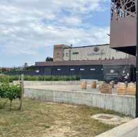 The Marramiero Winery in Abruzzo Italy 🇮🇹 