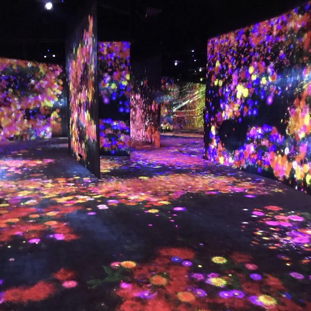 teamLab Borderless Shanghai✨