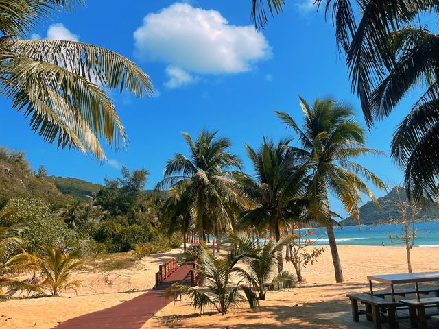 Quiet Beaches on Nanwan Island🌴🏝