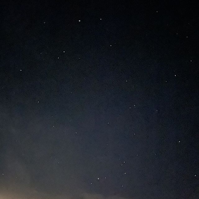 🌵Kubuqi Desert in INNER MONGOLIA