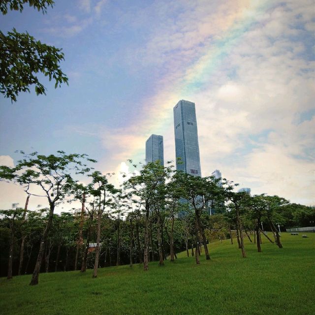 Sunday walk in Shenzhen Central park