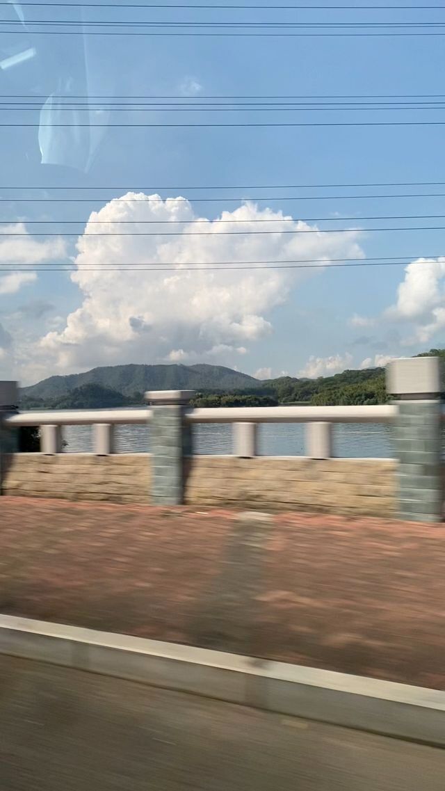 Chilling by the lake