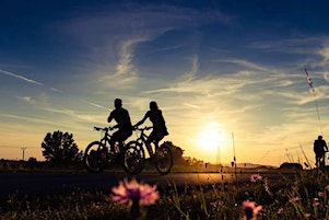 EBB Owners Club: M'Bah by Moonlight (Sat) / Uki by Day (Sun) | Murwillumbah Railway Station