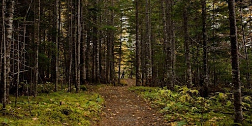 Grey Owl Cabin Trail Run | Grey Owl's Cabin Trail, Kingsmere Road, Waskesiu Lake, SK, Canada