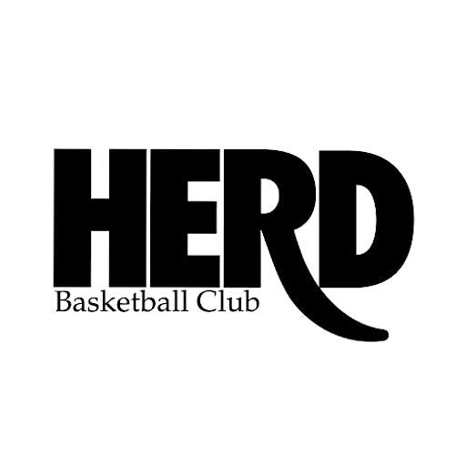 HERD Basketball Club: Player Combine | Academy Lane