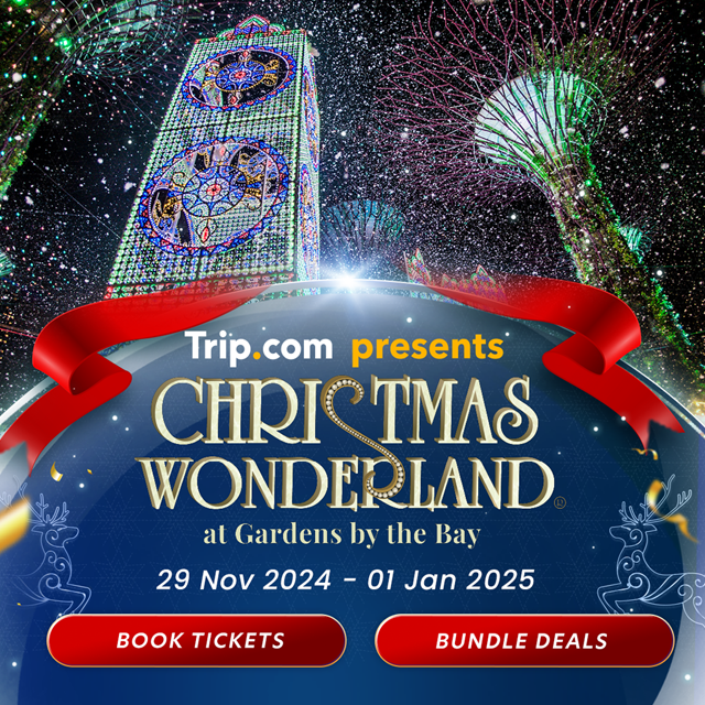 【Exclusive on Trip.com】Singapore Christmas Wonderland | Gardens by the Bay