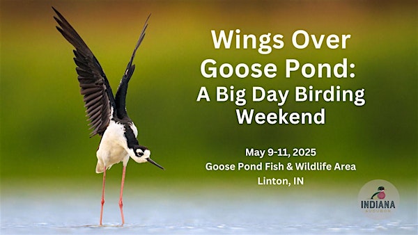 Wings Over Goose Pond: A Big Day Birding Weekend | Goose Pond Fish & Wildlife Area Visitor Center