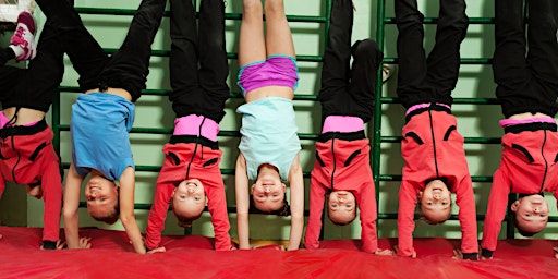 A&H Acrobatics workshop Palm Beach | Palm Beach Community Centre