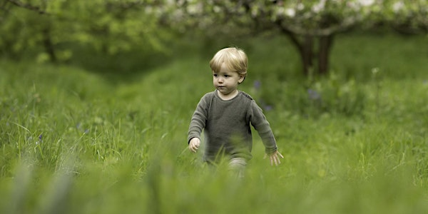 Nature Tots - Woolley Firs, Maidenhead, Friday 27 June | Woolley Firs Environmental Education Centre