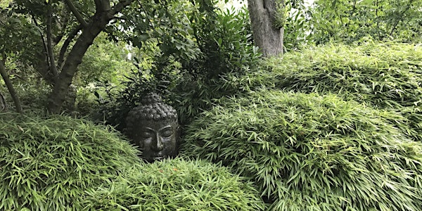 Arboretum Tour: Salt Marsh | Salt Marsh House Arboretum