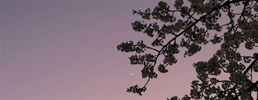 Decorate a Flower Pot and Celebrate Spring on the New Blue Moon | The Space Within