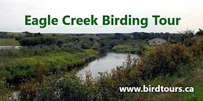 Eagle Creek and Hills Birding Tour | Shoppers Drug Mart parking lot