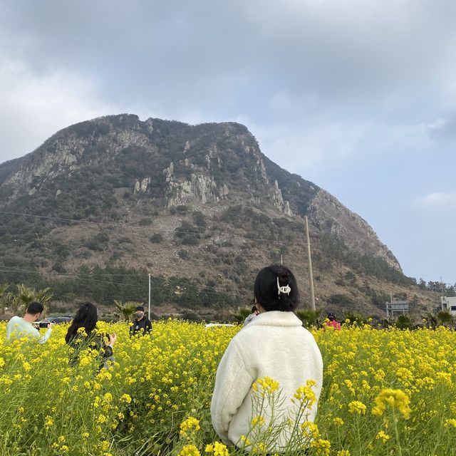 겨울도 이쁜 제주도