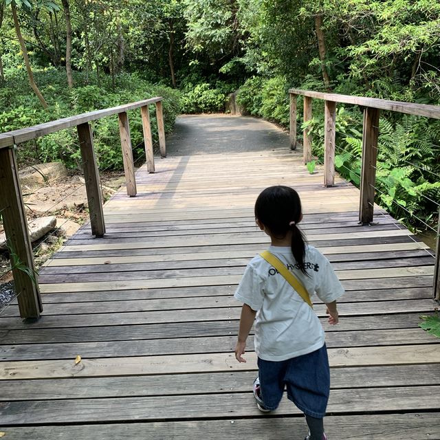 鐵路旁的小郊遊📍濕地公園