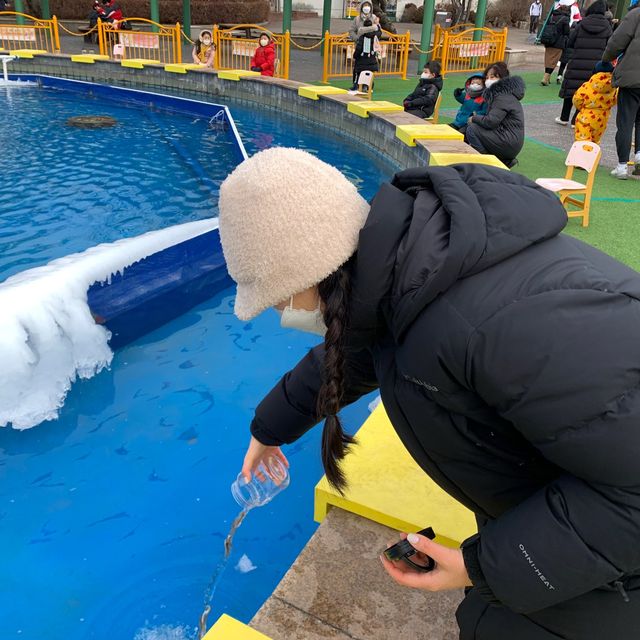 [서울근교 이색데이트 뜰채낚시체험]