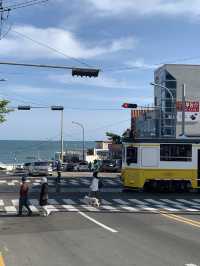 부산 청사포 블루라인파크