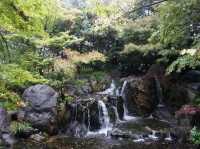 名古屋最大的日式庭園《白鳥庭園》