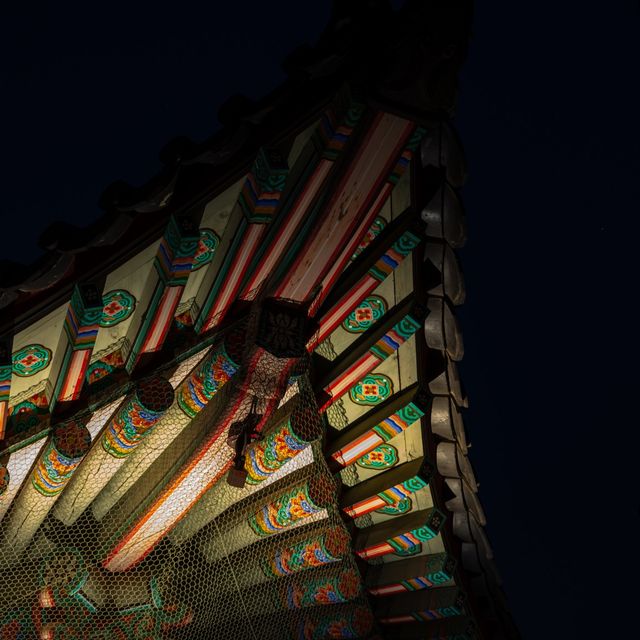 📍경복궁 🌕궁궐 야간개장🌕
