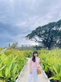 เดินเล่นวัน Day Off