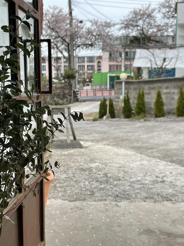 < 제주 카페 > 제주스러운 분위기 가득 포토존 맛집 카페, Mikkang 미깡창고 