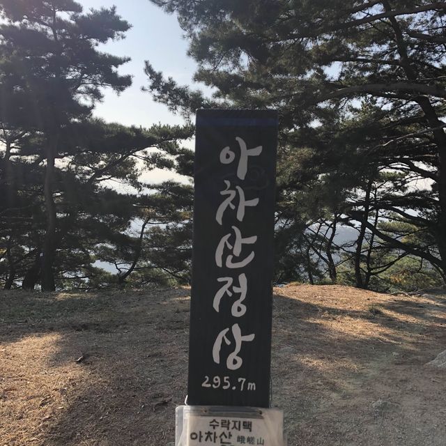 서울 근교 피크닉 ✨ 용마산, 아차산 등산기!