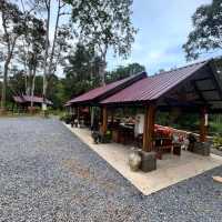 Dusun Riffa di Kedah