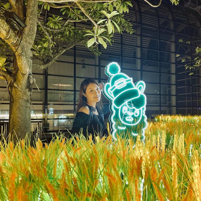 草泥馬「癒」悅聖誕🎄