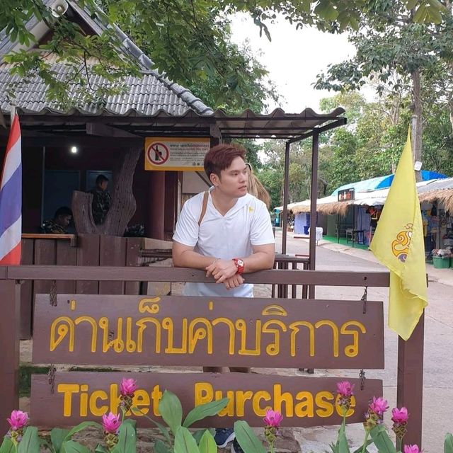 _+_+_อุทยานแห่งชาติป่าหินงาม_+_+_🐈🐾