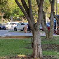 East Coast Park