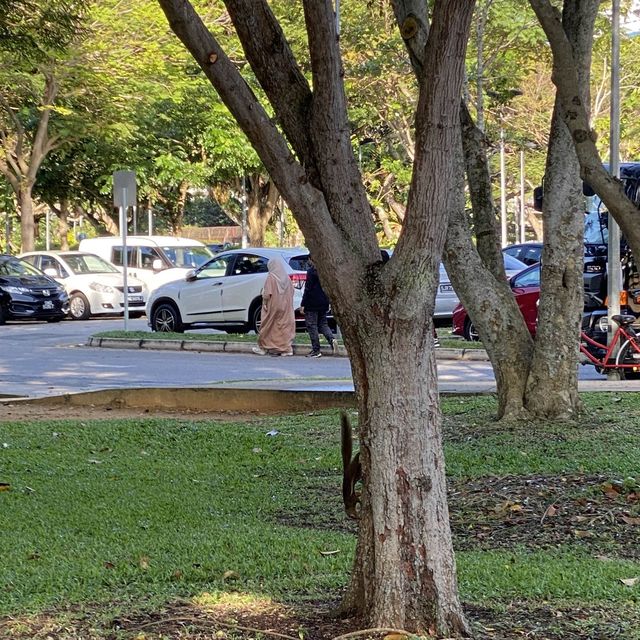 East Coast Park