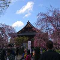 成田山公園
