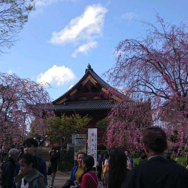 成田山公園