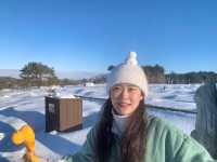 [한라산] 엘사의 세상같던 눈덮힌 윗세오름🗻