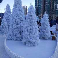 飄雪聖誕