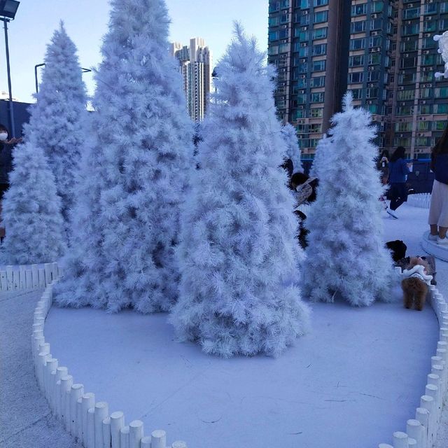 飄雪聖誕 飄雪聖誕