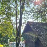 Vanilla Hhill (Hill lodge) เชียงใหม่