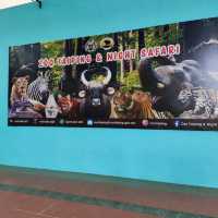 Wonderful Experience in Taiping Zoo
