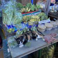ตลาดบ้านใหม่ร้อยปี เมืองแปดริ้ว