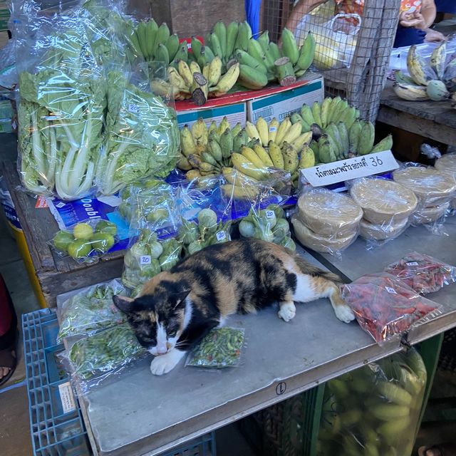 ตลาดบ้านใหม่ร้อยปี เมืองแปดริ้ว